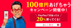 PayPay　20％オフ